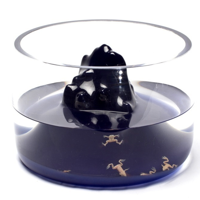 Space Mountain Fishbowl