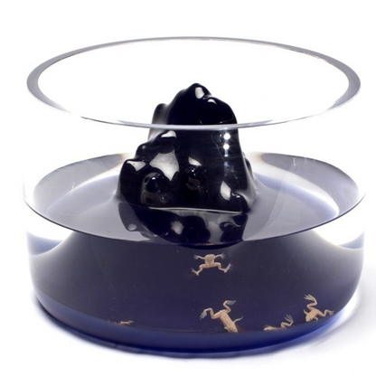 Space Mountain Fishbowl