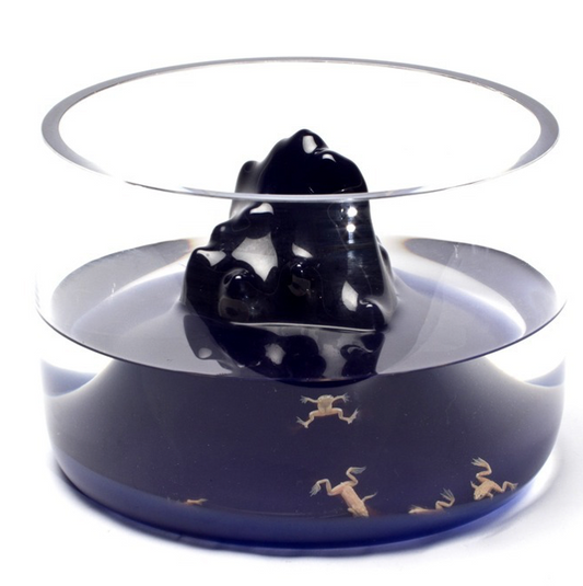 Space Mountain Fishbowl