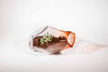 Geo Terrarium