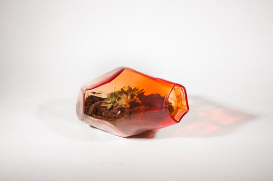 Geo Terrarium