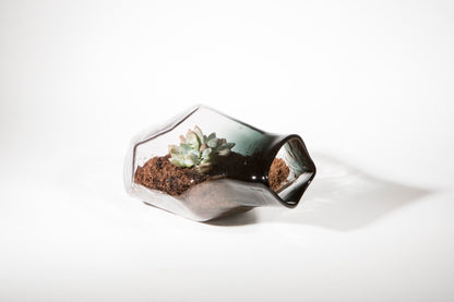 Geo Terrarium