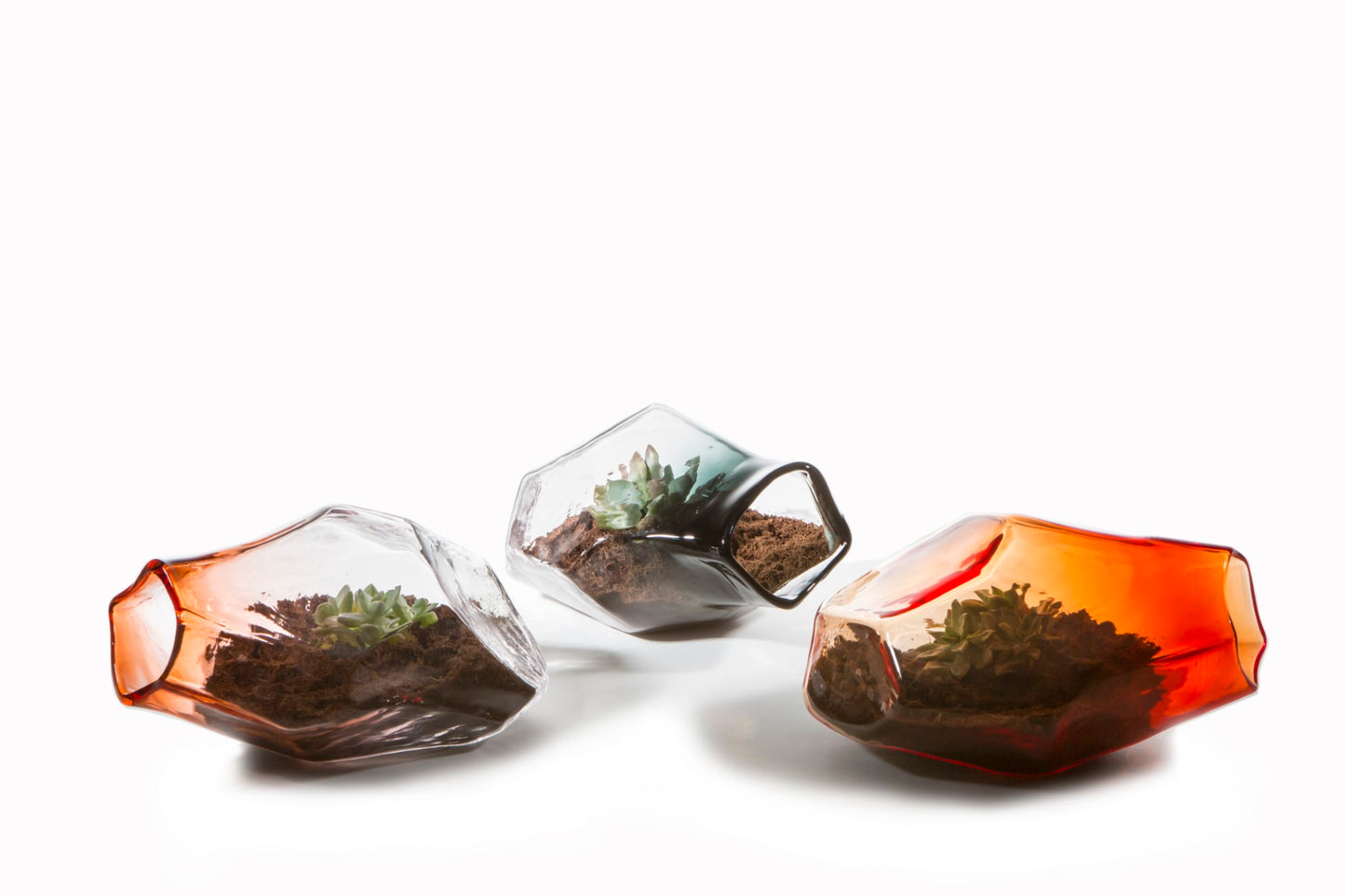 Geo Terrarium