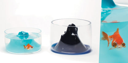 Space Mountain Fishbowl